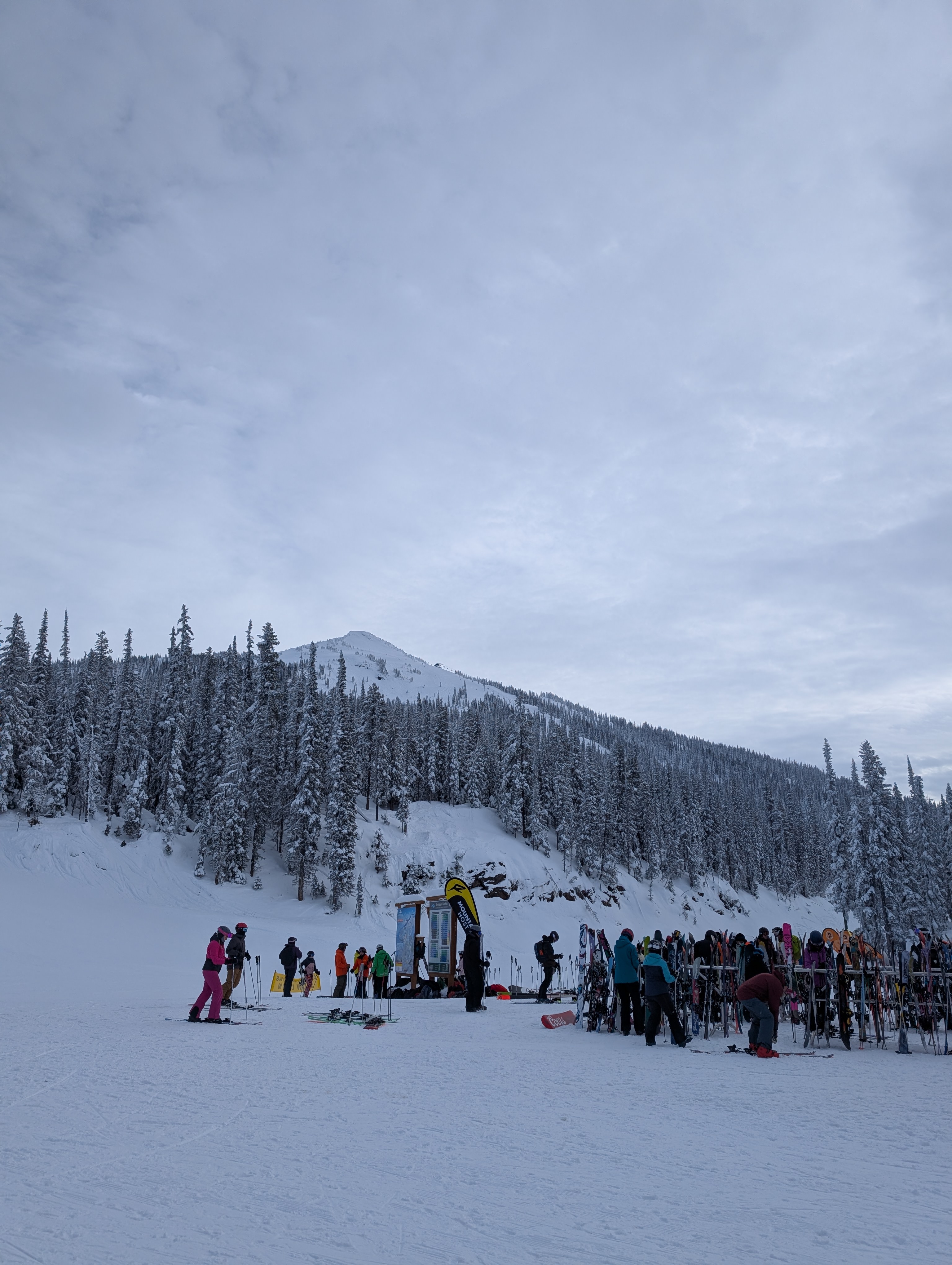 Top of Gondola, looking up at Separate Reality Bowl