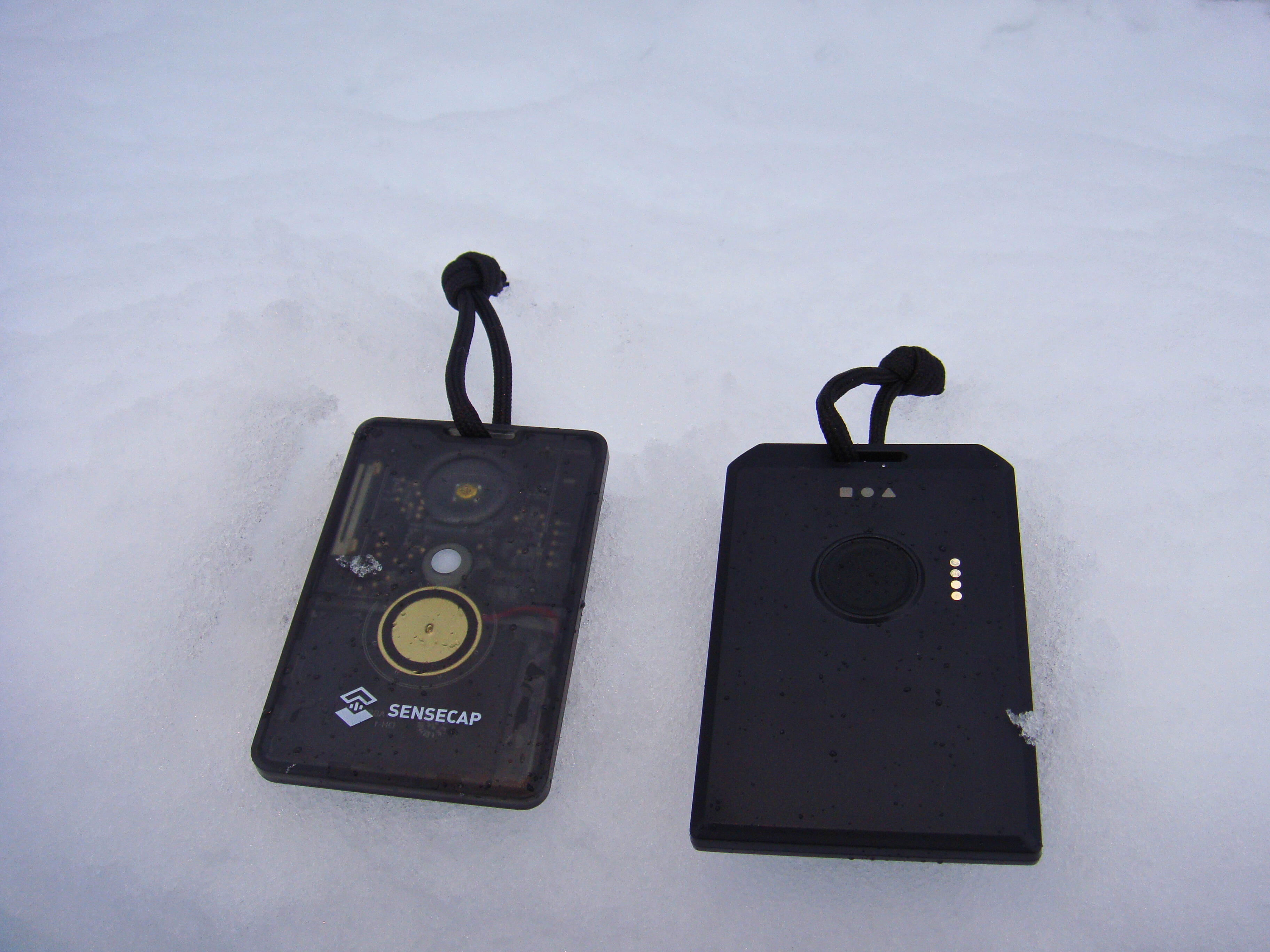 SenseCAP T1000E and RAK WisMesh Tag